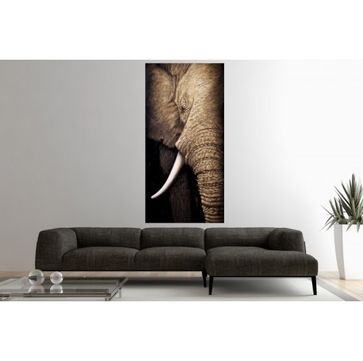 Obraz, Elephant