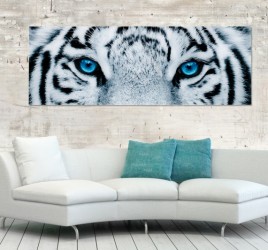 Moderní obraz na zeď - Tiger, 140 x 50 cm