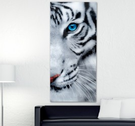 Moderní obraz na zeď - Tiger, 160 x 70 cm