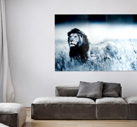 Moderní obraz na zeď - Lion, 140 x 95 cm