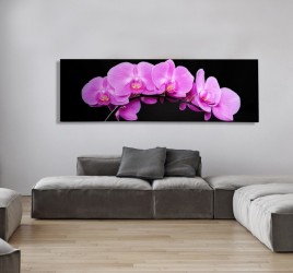 Moderní obraz na zeď - Orchidea, 140 x 45 cm